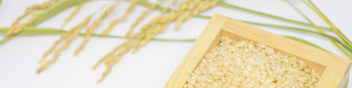 メタボ、血糖値…気になる方は玄米がオススメ